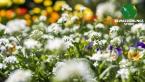Beet Bewässerung Planen: Ihr Leitfaden für eine effiziente Gartenbewässerung