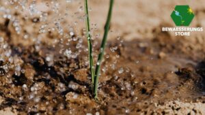 Effektive Bewässerung in der Baumschule: Alles, was Sie wissen müssen
