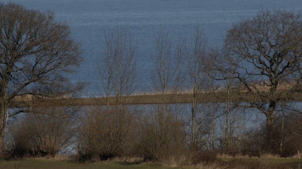 bewässerung mit güllefass