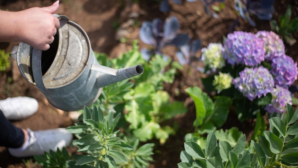 gardena bewässerung kübelpflanzen
