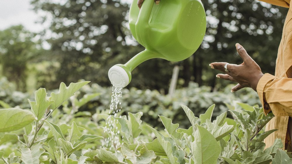 gardena bewässerung micro drip system anleitung