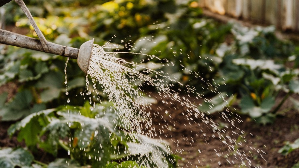 gardena bewässerung programmierung