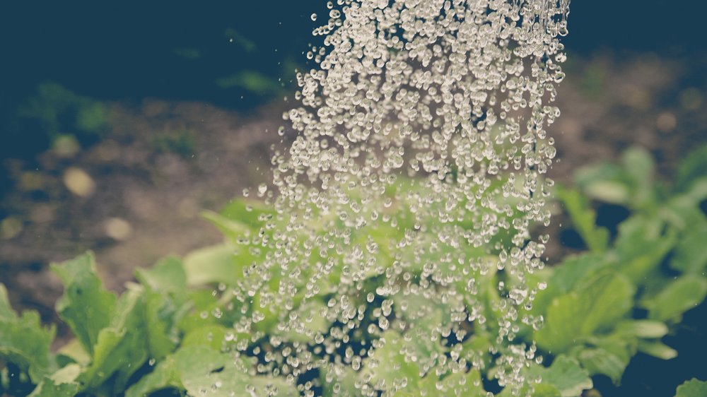 gardena bewässerung sensor