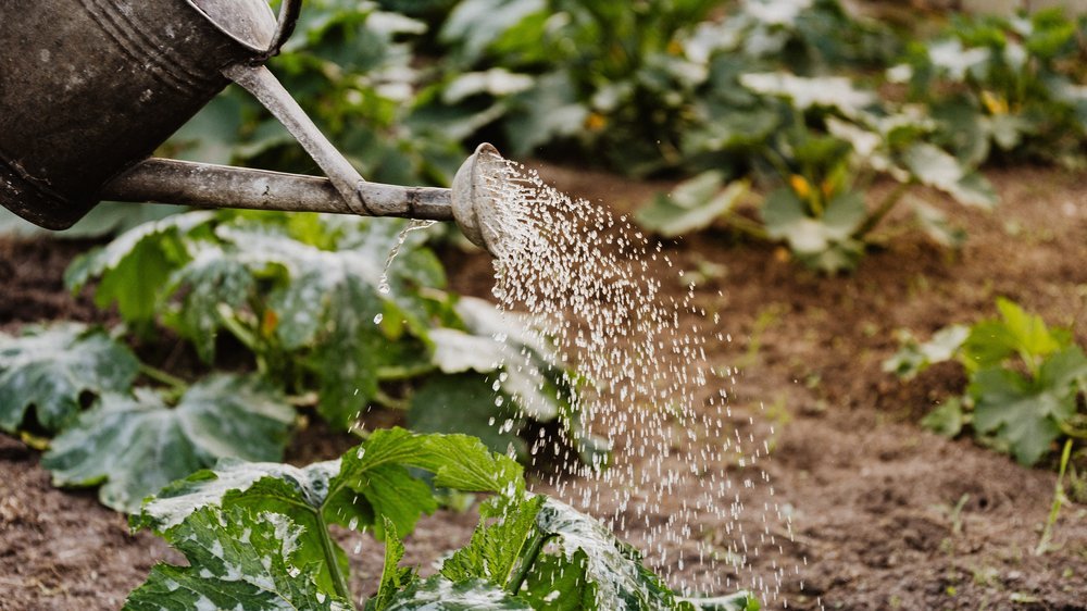 gardena bewässerung sprenger