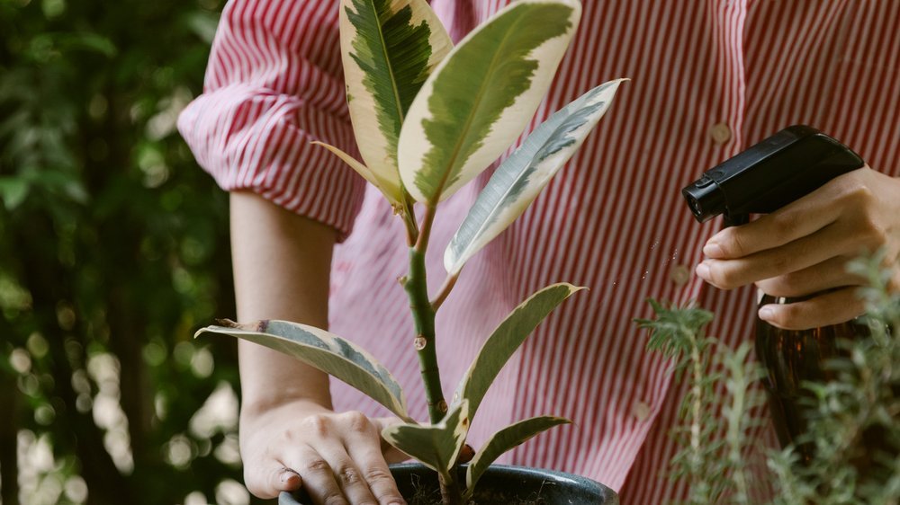 gardena bewässerung versenkregner