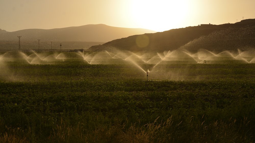 sprinkler bewässerung landwirtschaft