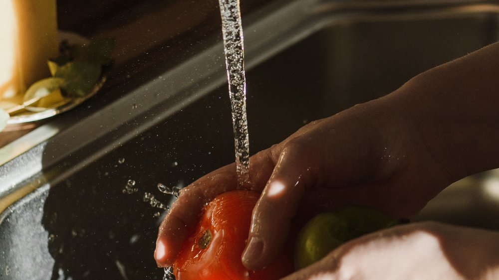 tomaten bewässerung urlaub