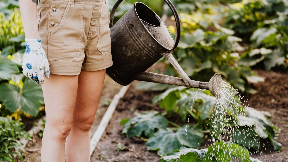 wassermenge bewässerung garten