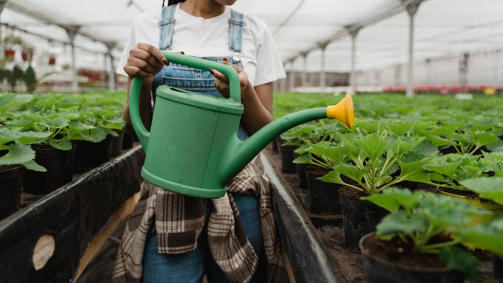 wassermenge bewässerung garten