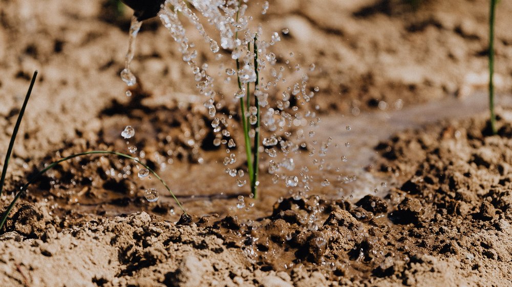 wassermenge bewässerung garten